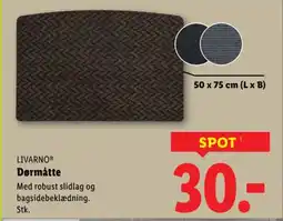 Lidl LIVARNO® Dørmåtte tilbud