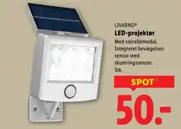 Lidl LIVARNOⓇ LED-projektør tilbud