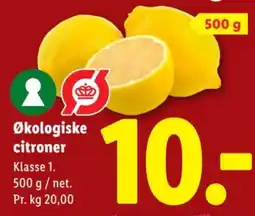 Lidl Økologiske citroner tilbud