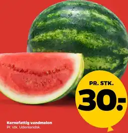 Netto Kernefattig vandmelon tilbud