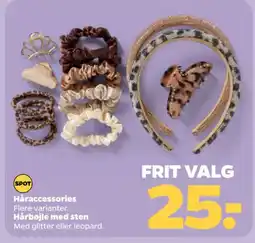 Netto Spot håraccessories tilbud