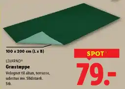 Lidl Livarno græstæppe tilbud