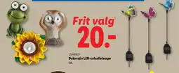 Lidl Livarno dekorativ led-solcellelampe tilbud