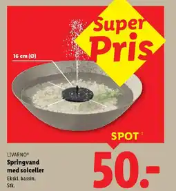 Lidl Livarno springvand med solceller tilbud