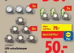 Lidl Livarno led-solcellelamper tilbud