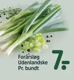 REMA 1000 Forårsløg Udenlandske Pr. bundt tilbud