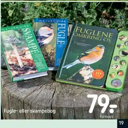 REMA 1000 Fugle- eller svampebog tilbud