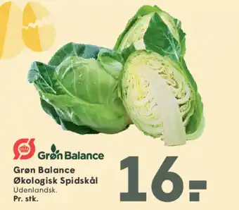 Grøn Balance Økologisk Spidskål