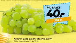 Bilka Autumn Crisp grønne stenfrie druer tilbud