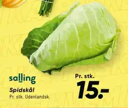 Bilka Spidskål tilbud