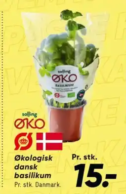 Bilka Økologisk dansk basilikum tilbud