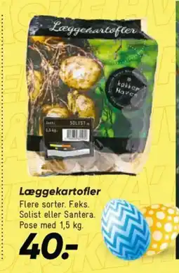 Bilka Læggekartofler tilbud