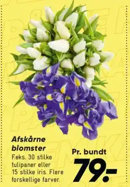 Bilka Afskårne blomster tilbud