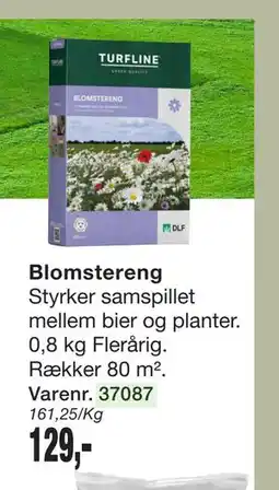 Harald Nyborg Blomstereng tilbud