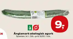 SuperBrugsen Änglamark ekologisk agurk tilbud