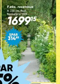 Bilka rosenbue tilbud