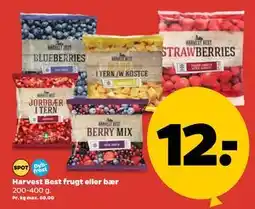Netto Harvest Best frugt eller bær tilbud