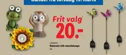 Lidl Dekorativ LED-solcellelampe tilbud