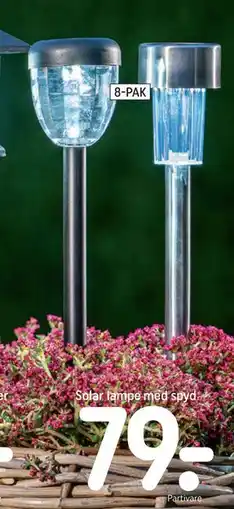 REMA 1000 Solar lampe med spyd tilbud