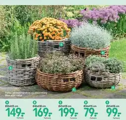 REMA 1000 Potte i pil med håndtag og plastindlæg Brun eller natur tilbud