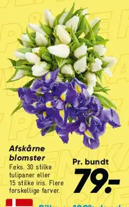 Bilka Afskårne blomster - pr. bundt tilbud