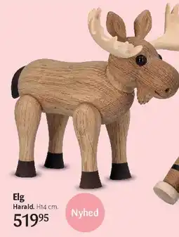 Kop & Kande Elg (Harald) tilbud