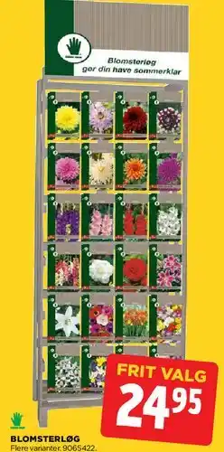 jem & fix Blomsterløg (frit valg) tilbud