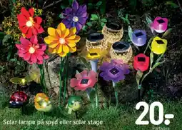 REMA 1000 Solar lampe på spyd eller solar stage tilbud