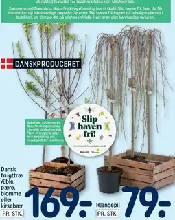 REMA 1000 Hængepil tilbud