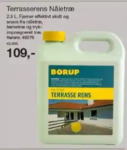 Harald Nyborg BORUP Terrasserens Nåletræ tilbud