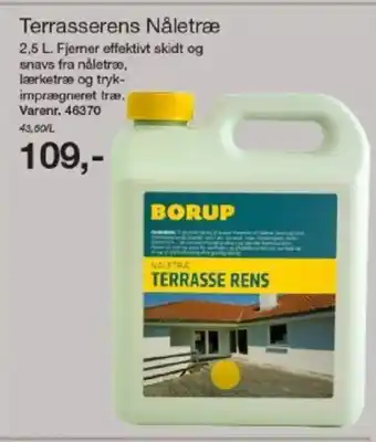 Harald Nyborg BORUP Terrasserens Nåletræ tilbud