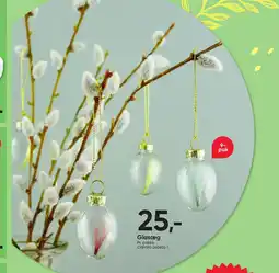 BigDollar Glasæg tilbud