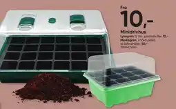 BigDollar Minidrivhus tilbud