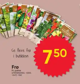 BigDollar Frø tilbud