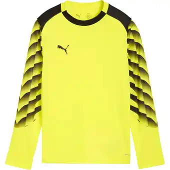 Sport 24 PUMA teamLIGA26 Målmandstrøje Børn tilbud