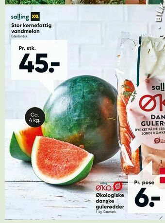 Bilka Stor kernefattig vandmelon tilbud