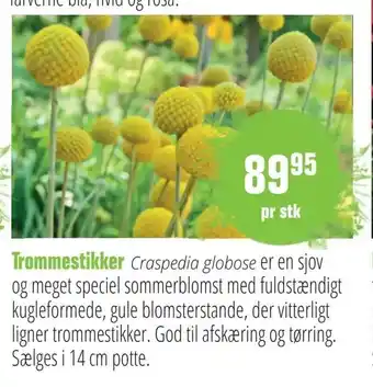 Trommestikker