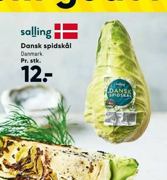 Bilka Dansk spidskål tilbud