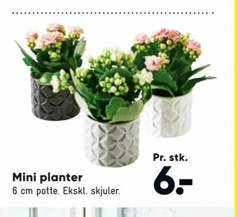 Mini planter