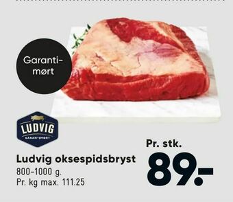 Bilka Ludvig oksespidsbryst tilbud