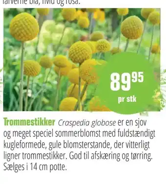 Trommestikker