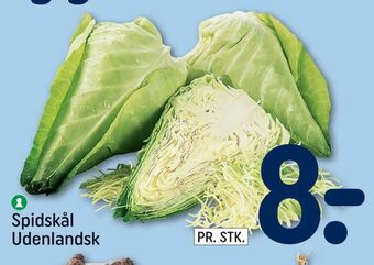 REMA 1000 Spidskål Udenlandsk tilbud