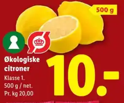 Lidl Økologiske citroner tilbud