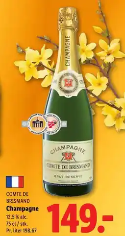 Lidl Champagne tilbud