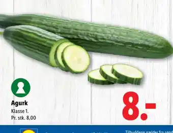 Lidl Agurk tilbud