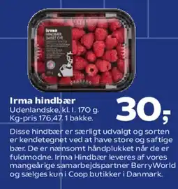 Kvickly Irma hindbær tilbud