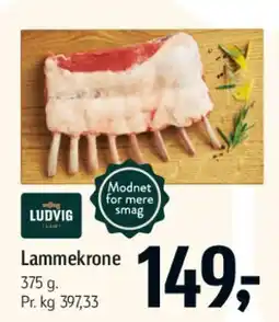 Føtex Lammekrone tilbud