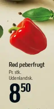 Føtex Rød peberfrugt tilbud