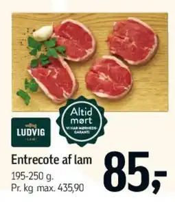 Føtex Entrecote af lam tilbud