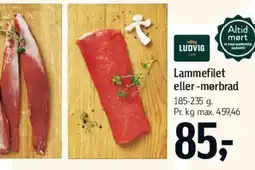 Føtex Lammefilet eller -mørbrad tilbud